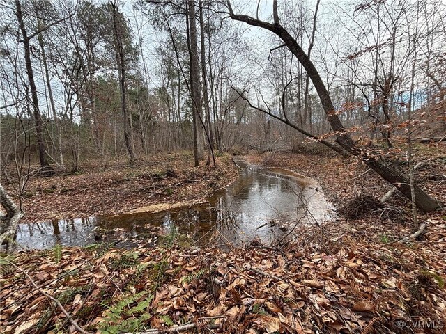 TBD Perkins Mill Rd, Dillwyn, VA 23901