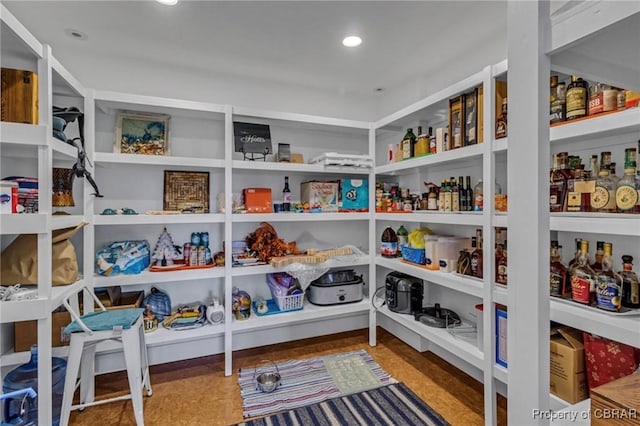 224 Oyster Creek Dr, White Stone, VA 22578 - view of pantry