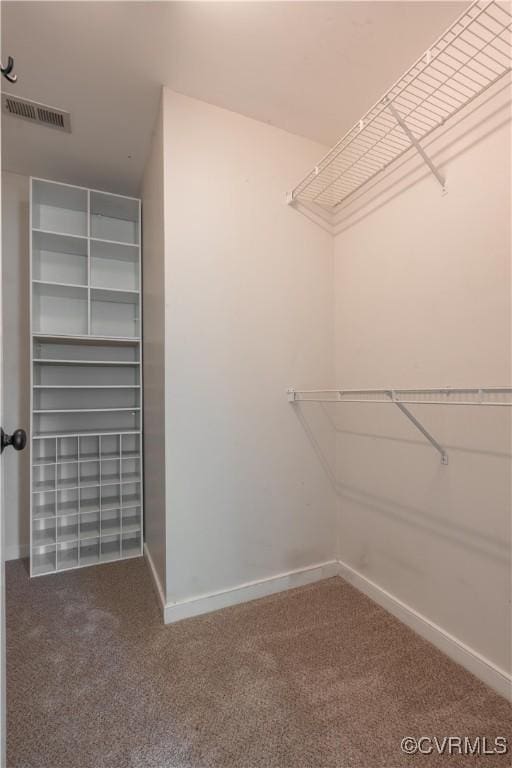 3206 Ramsey Dr, Chester, VA 23831 - spacious closet featuring carpet flooring