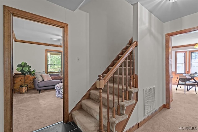 325 Hamlet Rd, Manakin Sabot, VA 23103 - stairs with carpet flooring and healthy amount of natural light