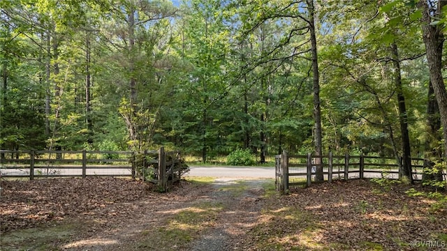 325 Hamlet Rd, Manakin Sabot, VA 23103 - view of yard featuring a wooded view