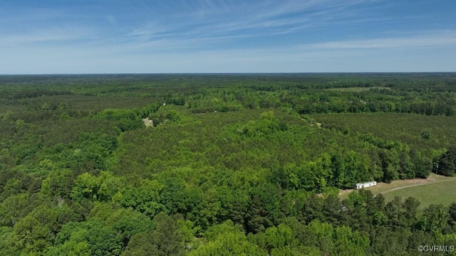 0 Brunswick Dr, Alberta, VA 23821