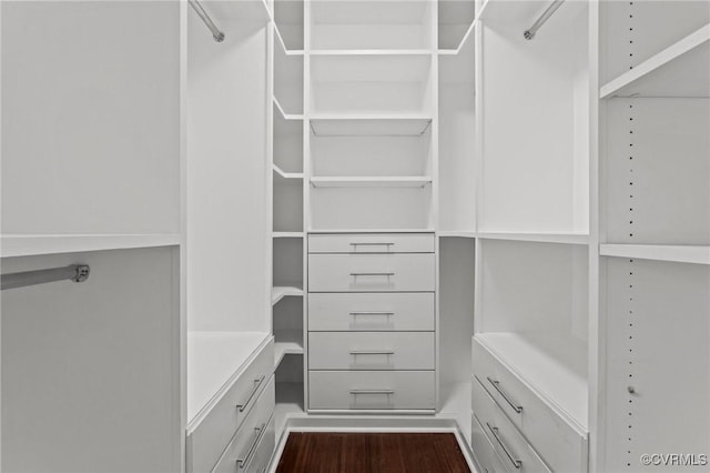 2920 Hawthorne Ave, Richmond, VA 23222 - walk in closet with dark wood-type flooring