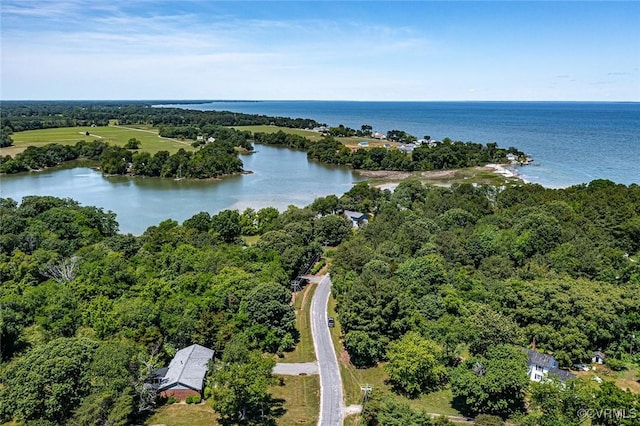 327 White Sand Dr, Heathsville, VA 22473 - drone / aerial view of a nearby body of water and a forest