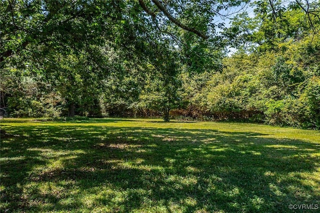 327 White Sand Dr, Heathsville, VA 22473 - view of green lawn with a forest view