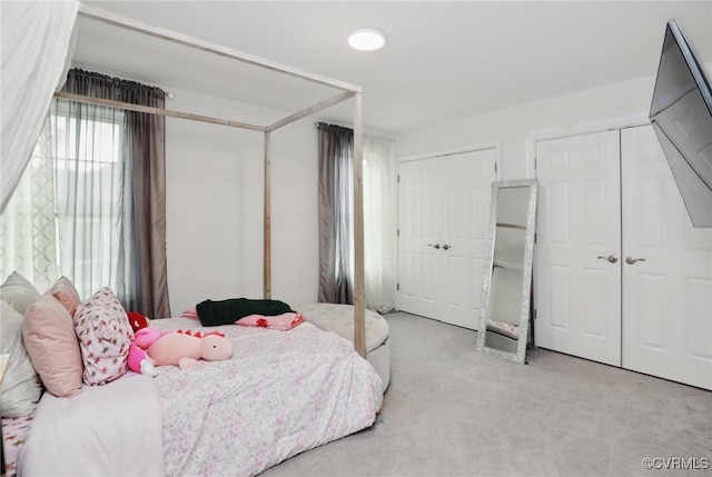 17912 Pine Canyon Trl, Moseley, VA 23120 - bedroom with multiple closets and carpet