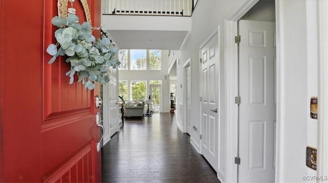 17912 Pine Canyon Trl, Moseley, VA 23120 - entryway with a towering ceiling and dark wood-style floors