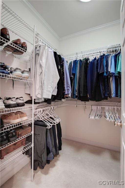 522 Hunt Field Rd, Manakin Sabot, VA 23103 - view of spacious closet
