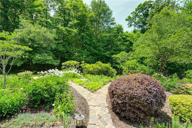 3320 Traylor Dr, Richmond, VA 23235 - view of yard