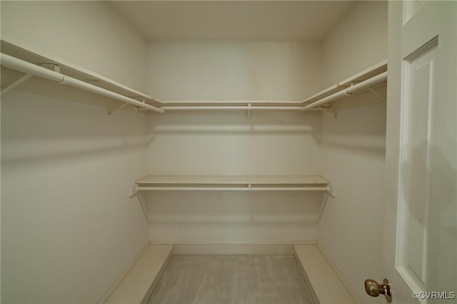 3320 Traylor Dr, Richmond, VA 23235 - view of walk in closet