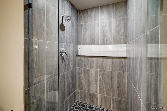 2940 Queenswood Rd, Midlothian, VA 23113 - bathroom with a stall shower