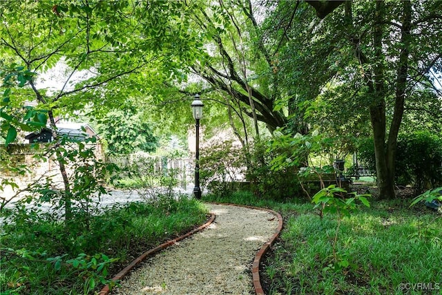 2311 E Broad St, Richmond, VA 23223 - view of yard