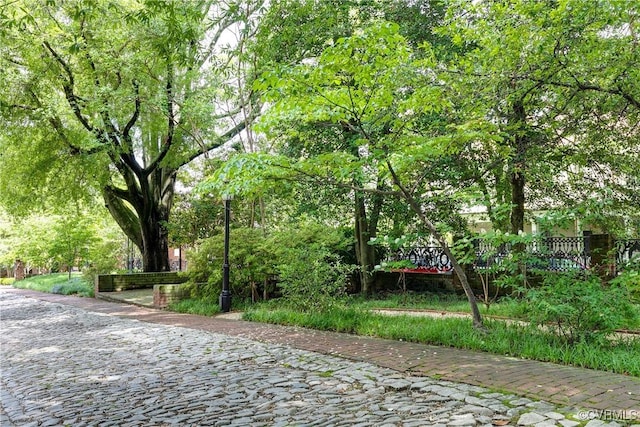 2311 E Broad St, Richmond, VA 23223 - view of community