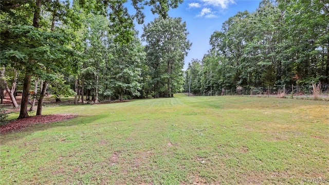 12120 Mckenney Hwy, Dinwiddie, VA 23872 - view of yard