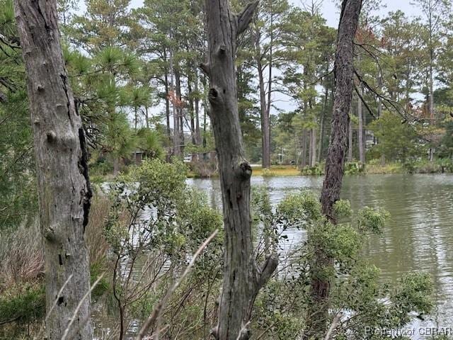 0 Severn Wharf Rd, Bena, VA 23072 - photo 2