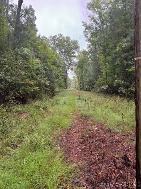 0 Severn Wharf Rd, Bena, VA 23072 - photo 4