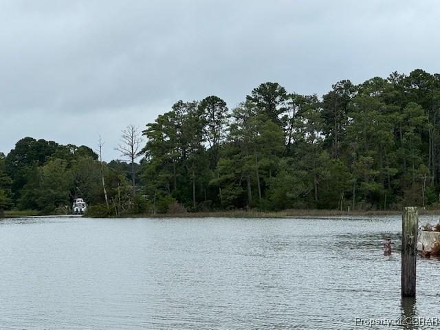 0 Severn Wharf Rd, Bena, VA 23072 - photo 5