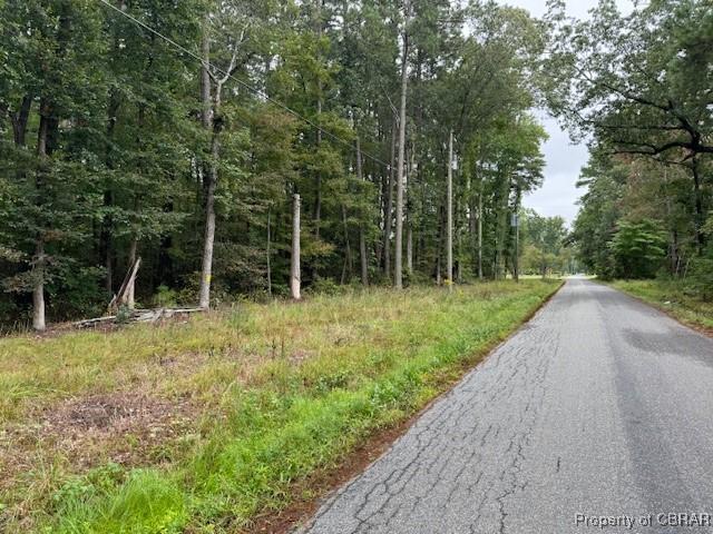 0 Rowe Creek Ln, Bena, VA 23072 - photo 1