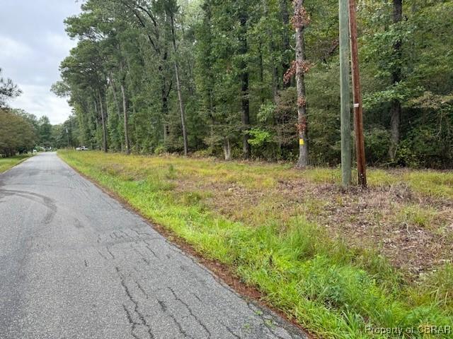 0 Rowe Creek Ln, Bena, VA 23072 - photo 2