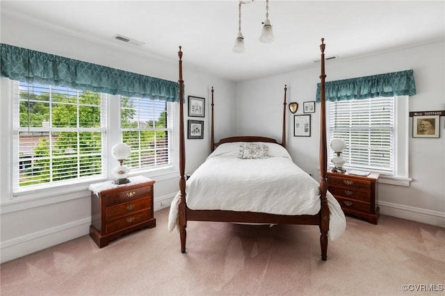 1601 Princeton Rd, Richmond, VA 23227 - bedroom featuring light carpet, multiple windows, and baseboards