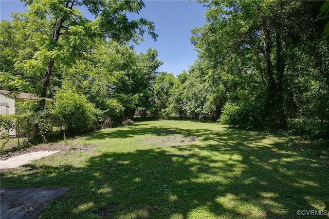 122 Elm St, Petersburg, VA 23803 - view of grassy yard with a view of trees