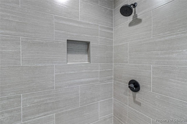 647 Lakeview Dr, Heathsville, VA 22473 - bathroom view of a tile shower