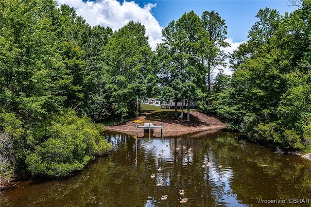 647 Lakeview Dr, Heathsville, VA 22473 - dock with a water view