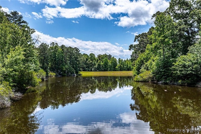 647 Lakeview Dr, Heathsville, VA 22473 - water view featuring a forest