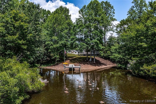 647 Lakeview Dr, Heathsville, VA 22473 - dock with a water view