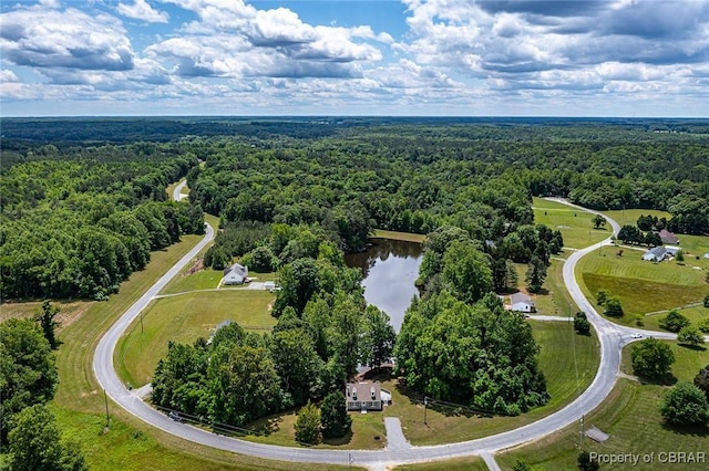 647 Lakeview Dr, Heathsville, VA 22473 - bird's eye view of a forest and a large body of water