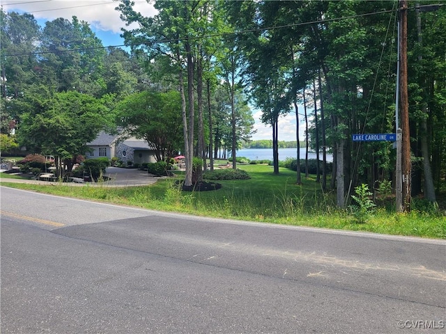 114 Lake Caroline Dr, Ruther Glen, VA 22546 - photo 2