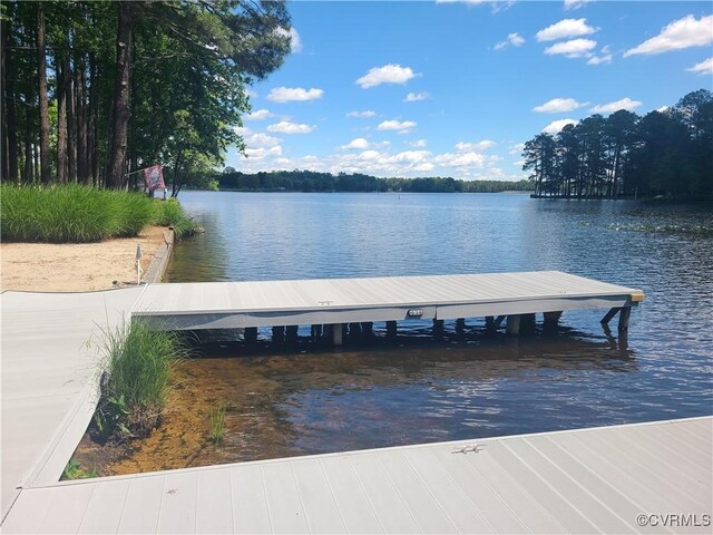 114 Lake Caroline Dr, Ruther Glen, VA 22546 - photo 9