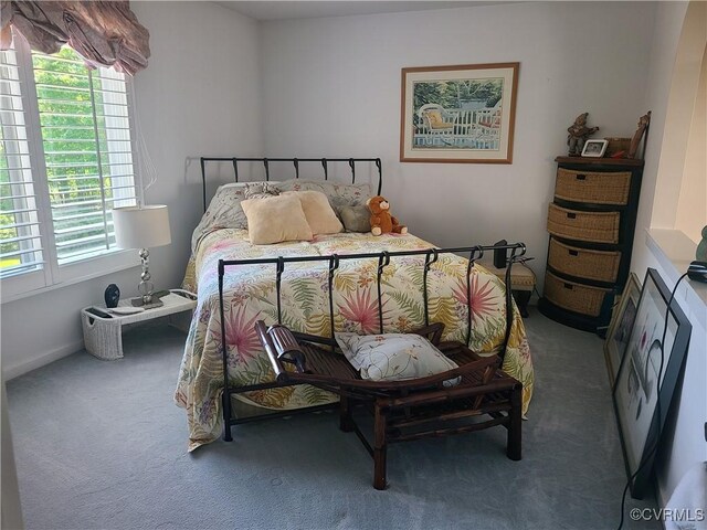 114 Lake Caroline Dr, Ruther Glen, VA 22546 - photo 20