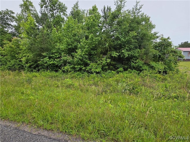 0 Tbd Plank Rd, Kenbridge, VA 23944