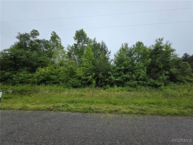 0 Tbd Plank Rd, Kenbridge, VA 23944