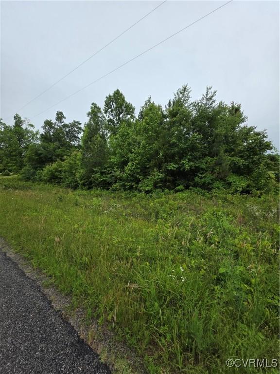 0 Tbd Plank Rd, Kenbridge, VA 23944