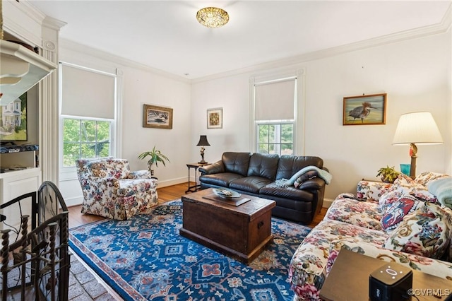 36 Carter Rd, Cumberland, VA 23040 - living room with ornamental molding and baseboards