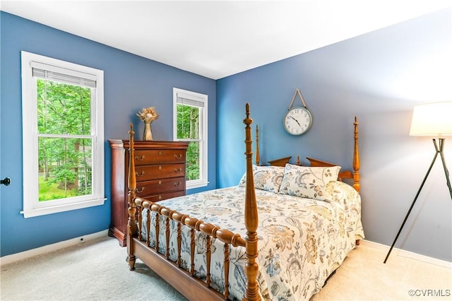 13710 Arrowood Ct, Midlothian, VA 23112 - carpeted bedroom with baseboards
