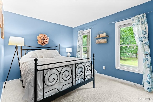 13710 Arrowood Ct, Midlothian, VA 23112 - carpeted bedroom with multiple windows and baseboards