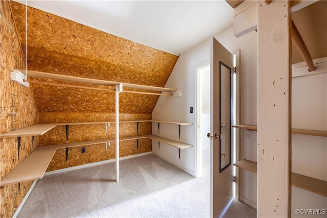 3513 Patrick Ave, Richmond, VA 23222 - view of storage area