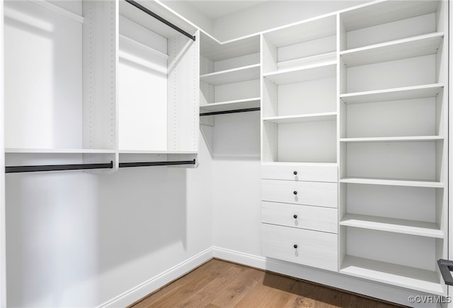 8900 Burkhart Dr, Henrico, VA 23229 - walk in closet with wood finished floors