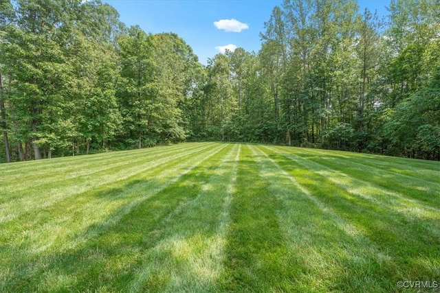 11470 Jack Ln, Hanover, VA 23146 - view of grassy yard featuring a wooded view