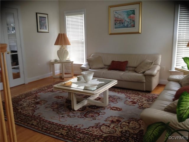 2401 Bell Tower Pl, Henrico, VA 23233 - living room featuring wood finished floors, baseboards, and healthy amount of natural light
