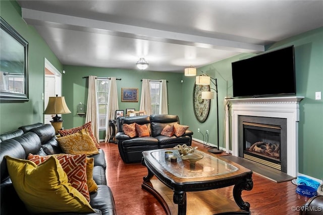 6207 Hackney Loop, Chesterfield, VA 23234 - living area featuring wood finished floors and a glass covered fireplace