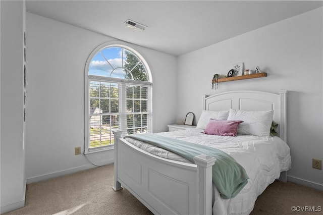 3724 Liberty Point Dr, Midlothian, VA 23112 - carpeted bedroom with baseboards