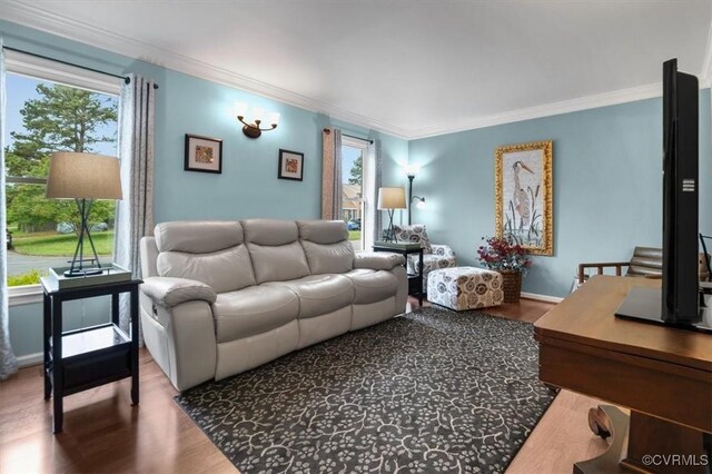 1146 Wicker Dr, Colonial Heights, VA 23834 - living room featuring wood finished floors, healthy amount of natural light, ornamental molding, and baseboards