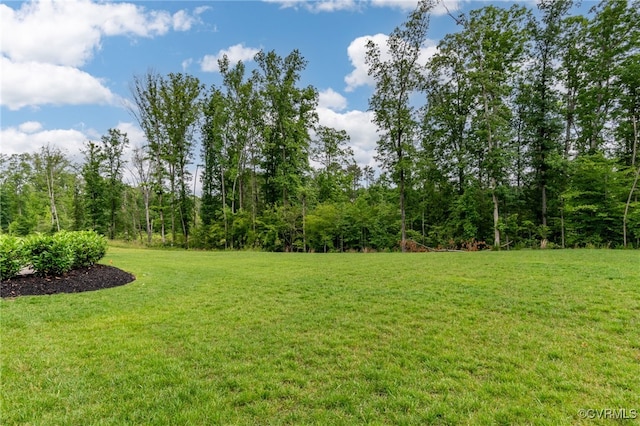 14413 Botsford Ave, Chester, VA 23831 - photo 32
