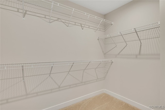 14413 Botsford Ave, Chester, VA 23831 - photo 23
