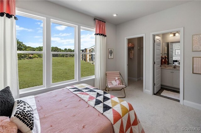 5429 Gillies Creek Mews, Henrico, VA 23231 - bedroom with carpet flooring, a spacious closet, baseboards, and connected bathroom