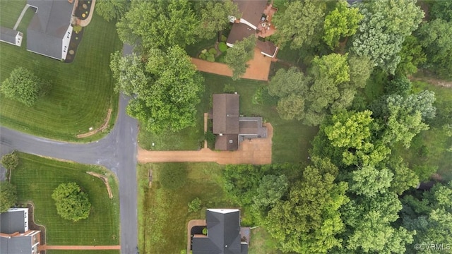 9140 Robin Ridge Dr, Hanover, VA 23116 - photo 47